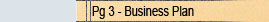 Business Plan